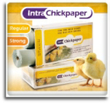 Intra Chickpaper Regular